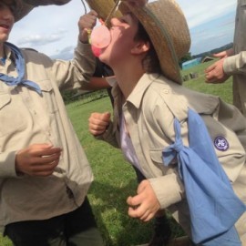 IMG 8006  Medium - Scouts en Gidsen Zaventem 